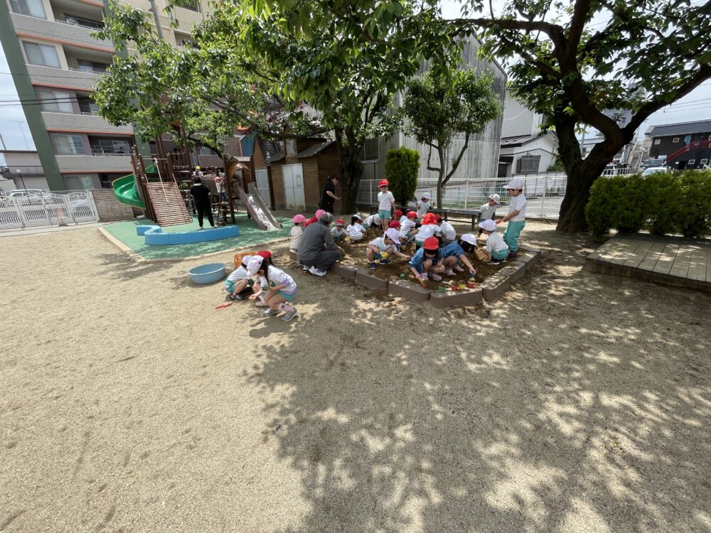 きらら・ひよこ組、ゆり組　外遊び