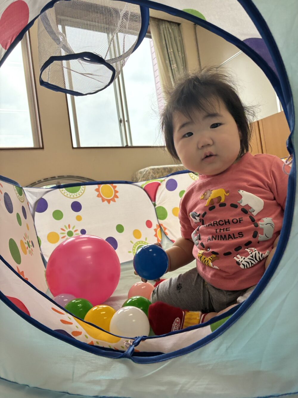 ちゅうりっぷ組　新しいお友達
