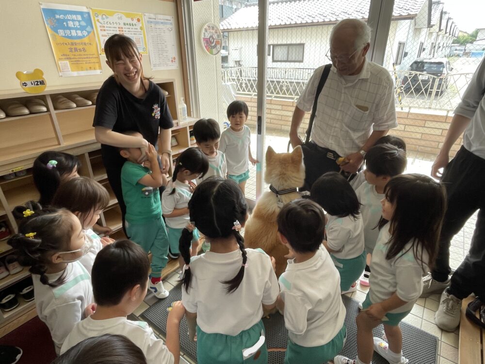 サプライズ　大きな秋田犬